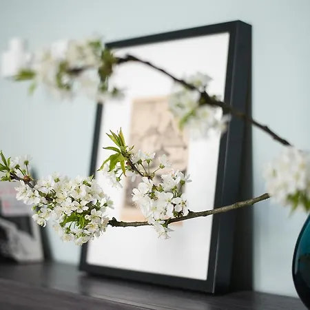 Paulove アパート クラクフ