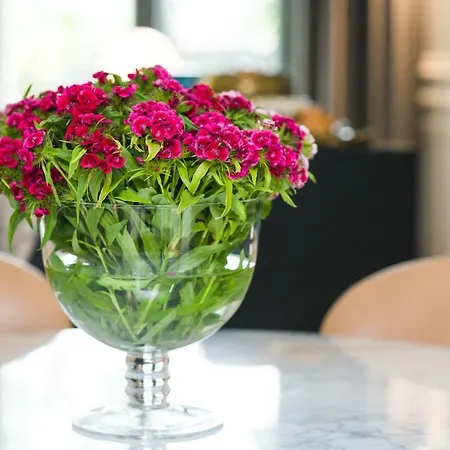 Paulove * 크라쿠프