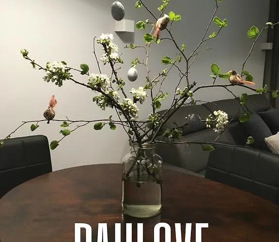 Paulove Apartamento *